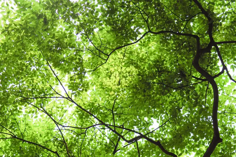 企业文化诊断与团队凝聚力提升：五大引导工具应用解析
