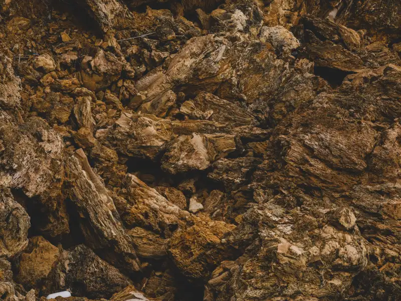 2024年企业组织诊断工具对比:如何选择适合团队的领导力发展路径