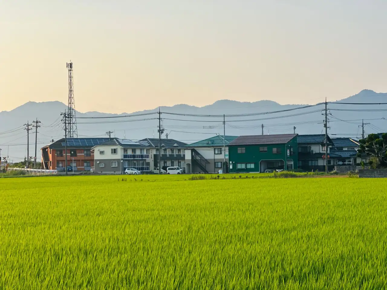 企业文化诊断与团队建设：5步打造高绩效管理团队的实战路径